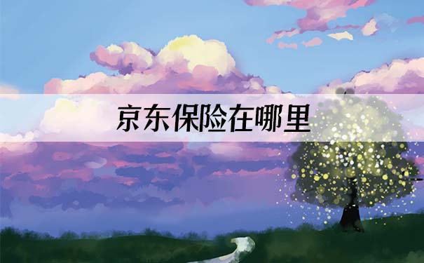 京東(dong) 保險在哪裏？插圖