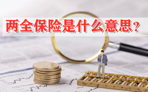 兩(liang) 全保險是什麽(me) 意思？插圖