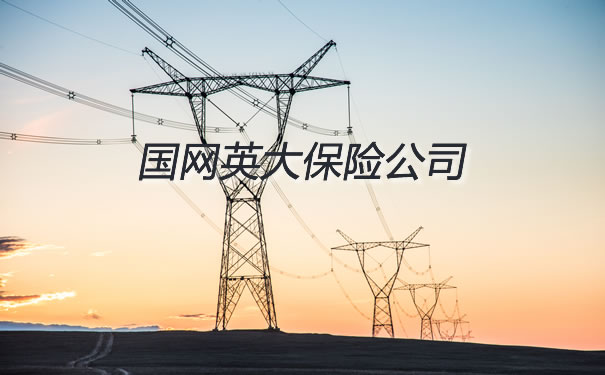 國網英大保險公司官網插圖