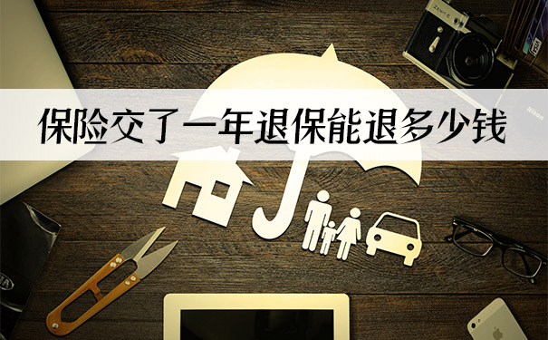 保險退保一年能退多少錢插圖