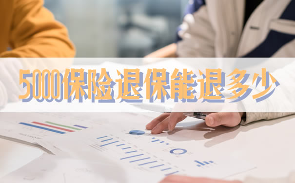 5000保險退保能退還多少？插圖
