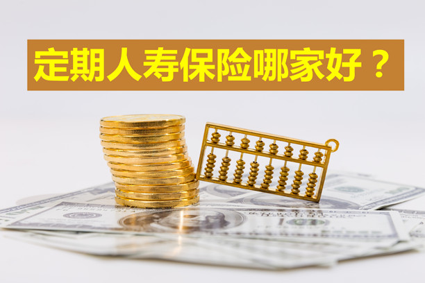 哪家保險公司的定期壽險好？插圖