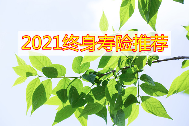 哪種終身壽險性價(jia) 比最高？插圖