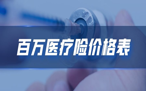 百萬(wan) 醫療保險價(jia) 格表插圖