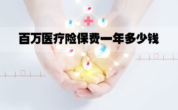 一年百萬(wan) 醫療保險的保費是多少？插圖