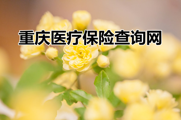 重慶市醫療保險查詢網、重慶市職工醫療保險查詢網插圖