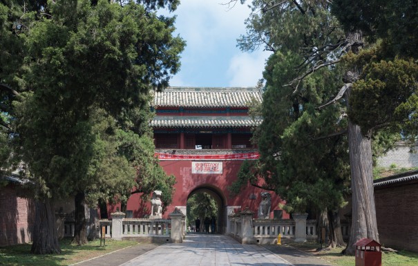 濟寧職工養(yang) 老保險，濟寧職工養(yang) 老保險一年多少錢？插圖