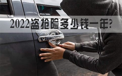盜搶險多少錢？有必要買(mai) 嗎？插圖