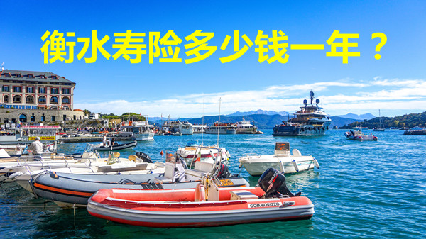 衡水壽險一年多少錢？如何購買(mai) 衡水定期壽險？插圖