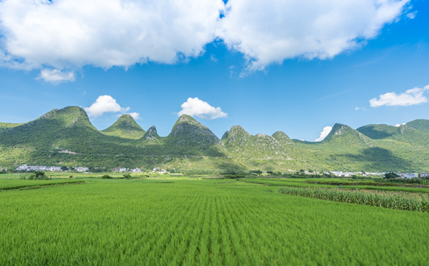 黔西南州如何購買(mai) 兩(liang) 全保險，黔西南州兩(liang) 全保險適合誰？插圖