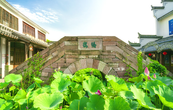 如何購買(mai) 新餘(yu) 重疾險，新餘(yu) 重疾險適合誰？插圖