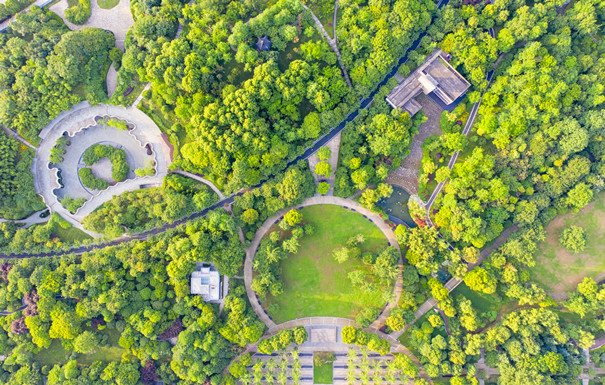 如何在網上投保道路綠化工(高速公路)團意險，雇主責任險有多大作用？插圖
