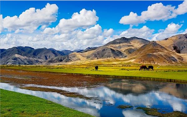 旅遊公司如何為(wei) 導遊、領隊、外務員購買(mai) 團體(ti) 意外險？插圖