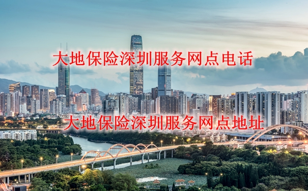 深圳大地保險服務網電話、地址插圖