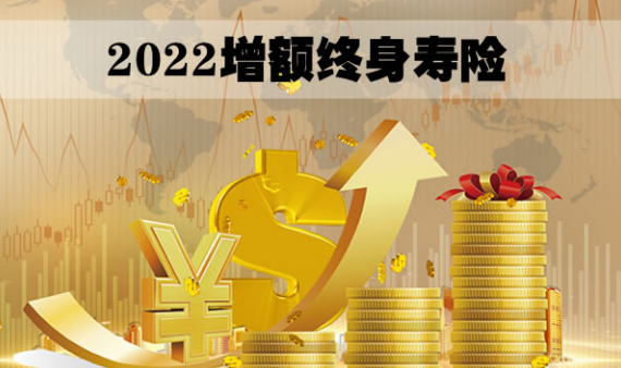 金滿意足臻享版增額終身壽險知乎廣大博主怎麽看待插圖