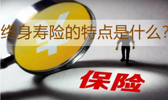 橫琴利久久增額終身壽險怎麽樣，適合哪些人購買？插圖