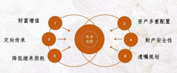 增額終身壽險的來源是怎麽樣的？插圖