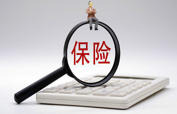 可能是增額終身壽險在發力，很多用戶選擇購買插圖