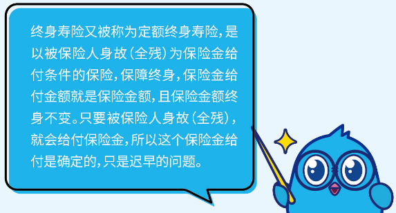 傳世贏家增額終身壽險怎麽樣？要怎麽買？插圖
