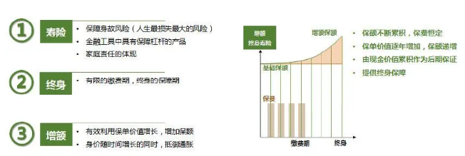 還是增額終身壽險，適合多數人購買插圖