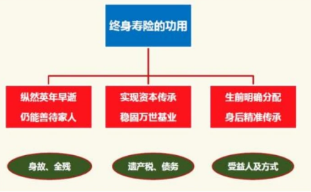 c位增額終身壽險是哪一款？插圖