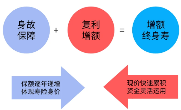 橫琴傳世贏家增額終身壽險條款具體有哪些？插圖