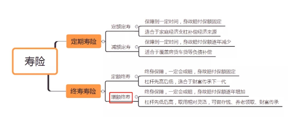 如何正確選擇國內增額終身壽險插圖