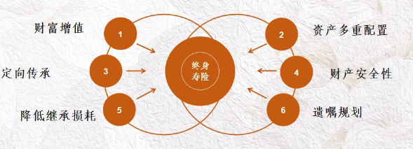 增額終身壽險和年金的區別在於哪些方麵？插圖