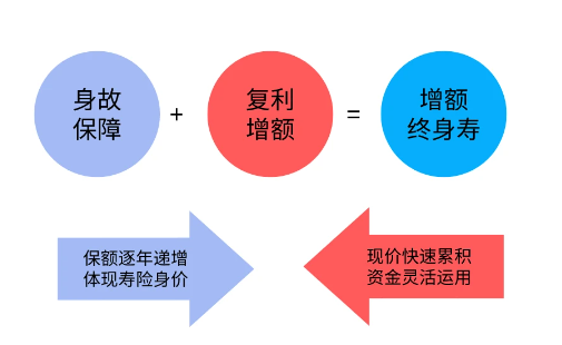 增額終身壽險受市場關注，是什麽原因？插圖