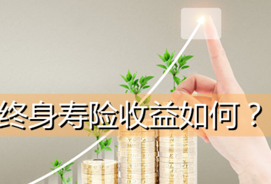 關於增額終身壽險常見問題介紹，了解清楚再購買插圖