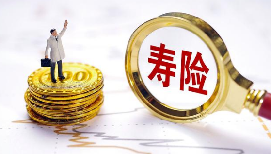 大陸增額終身壽險起源是哪一家公司？插圖