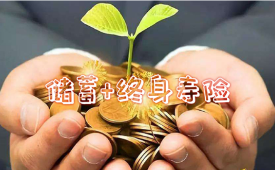 弘康金玉滿堂2.0終身壽險對投保門檻有什麽要求？插圖