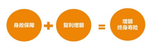 長城人壽山海關(虎嘯版)兩全保險有哪些比較好的權益？插圖