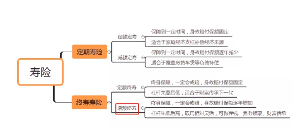 增額終身壽險通貨膨脹有什麽影響插圖