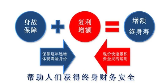 守護神和金滿意足增額終身壽險對比插圖