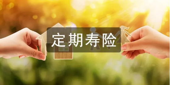 華貴大麥2022定期壽險亮點很豐富插圖