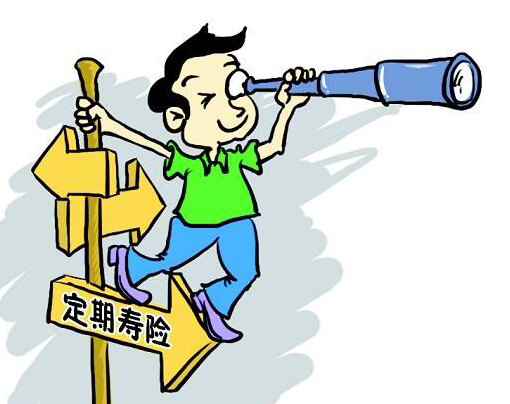 華貴大麥2022定期壽險可以獲得相對應的保障插圖