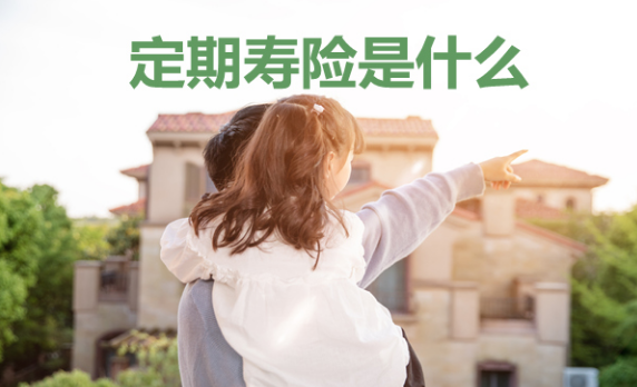 華貴大麥2022定期壽險在哪裏買？插圖