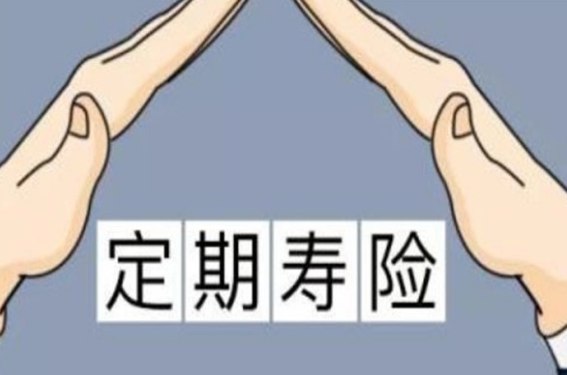 定期壽險購買優勢越來越明顯插圖
