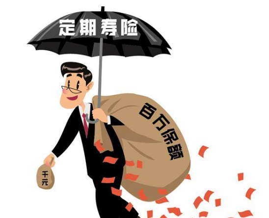 陽光全民保定期壽險怎麽樣還需要全麵分析插圖