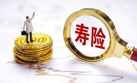 國壽福終身壽險是騙局，究竟值不值得入手？插圖
