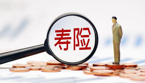 年金保險與增額終身壽險區別有哪些？插圖