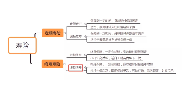康滿溢增額終身壽險小康產品價值很不錯插圖