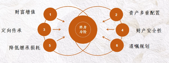 增額終身壽險可以追加嗎，具體要看險種的規定插圖