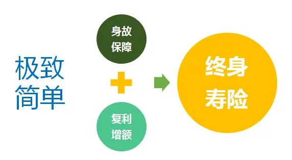 人壽保險增額終身壽險產品性價比怎麽樣？插圖