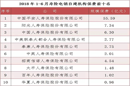 壽險電銷哪家強？中保協公布上半年壽險電話營銷保費排名插圖4