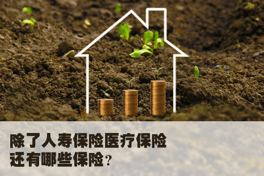 人壽保險醫療保險有什麽(me) 區別？插圖2