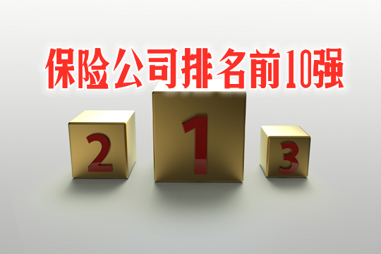 十大保險公司插圖4