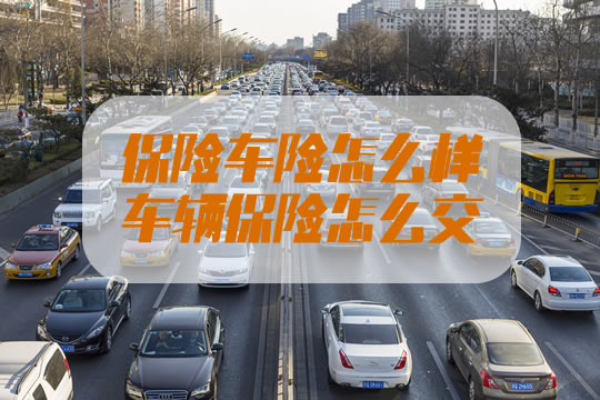 保險車險怎麽(me) 樣？車輛保險怎麽(me) 交？交強險包括什麽(me) ？插圖