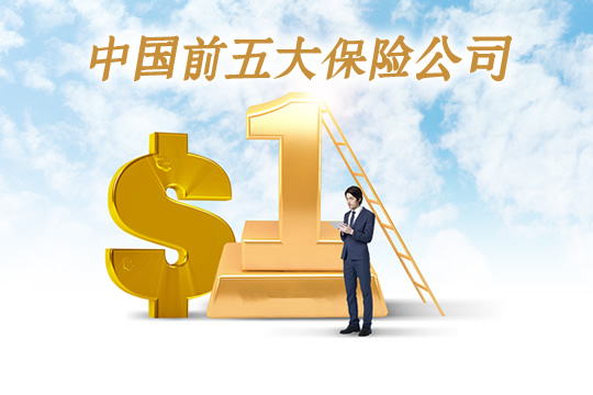 中國前五大保險公司插圖